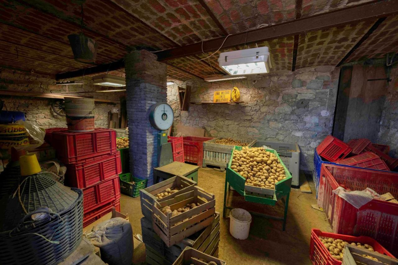 Podere P Ratizzoli II Piano Tole Exteriör bild