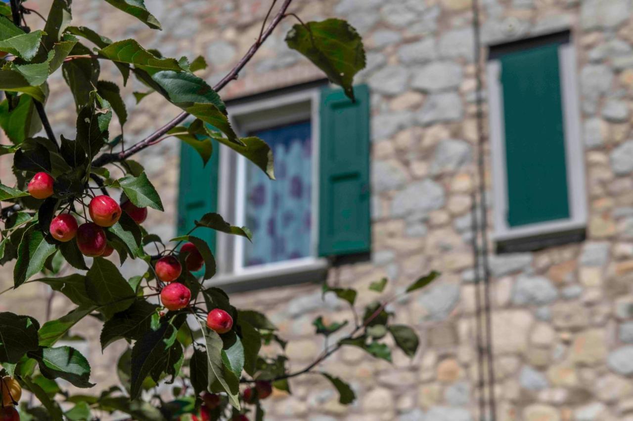 Podere P Ratizzoli II Piano Tole Exteriör bild